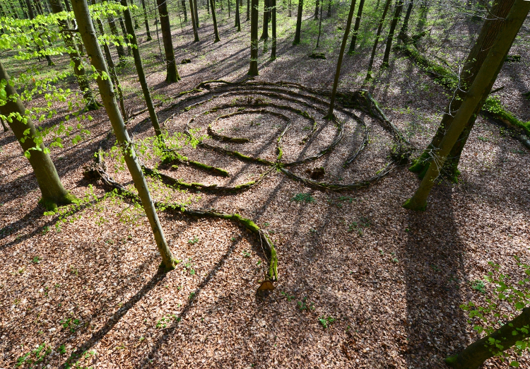 Waldlabyrinth